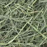 Oxbow Orchard Grass Hay (15 oz) - 425g