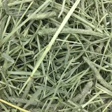 Oxbow Western Timothy Hay (90 oz) - 2.55kg