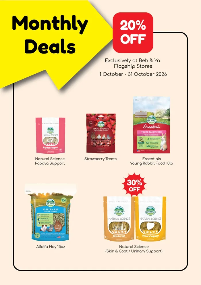 October Promotion