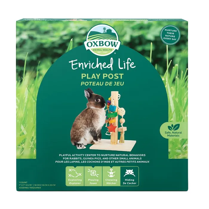 Enriched Life - Play Post