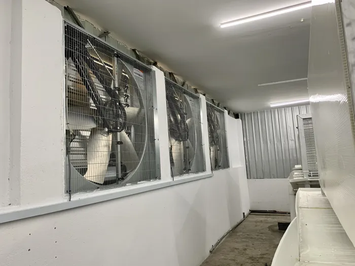 How Beh & Yo Reduces Heat Stress in Our Rabbit Facility