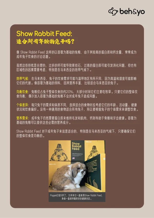 Beh & Yo Edition - Issue #7 - April 2025