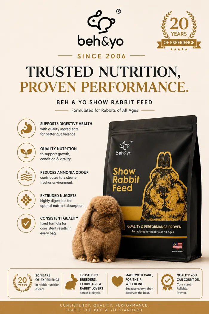 🐇 The Feed Behind Consistent Results.
