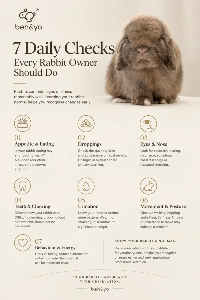 🐰 7 DAILY CHECKS EVERY RABBIT OWNER SHOULD DO