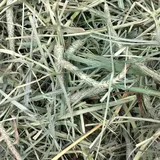 Oxbow Hay Blends - Western Timothy & Orchard Grass (40 oz) - 1.13kg