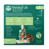 Enriched Life - Play Post