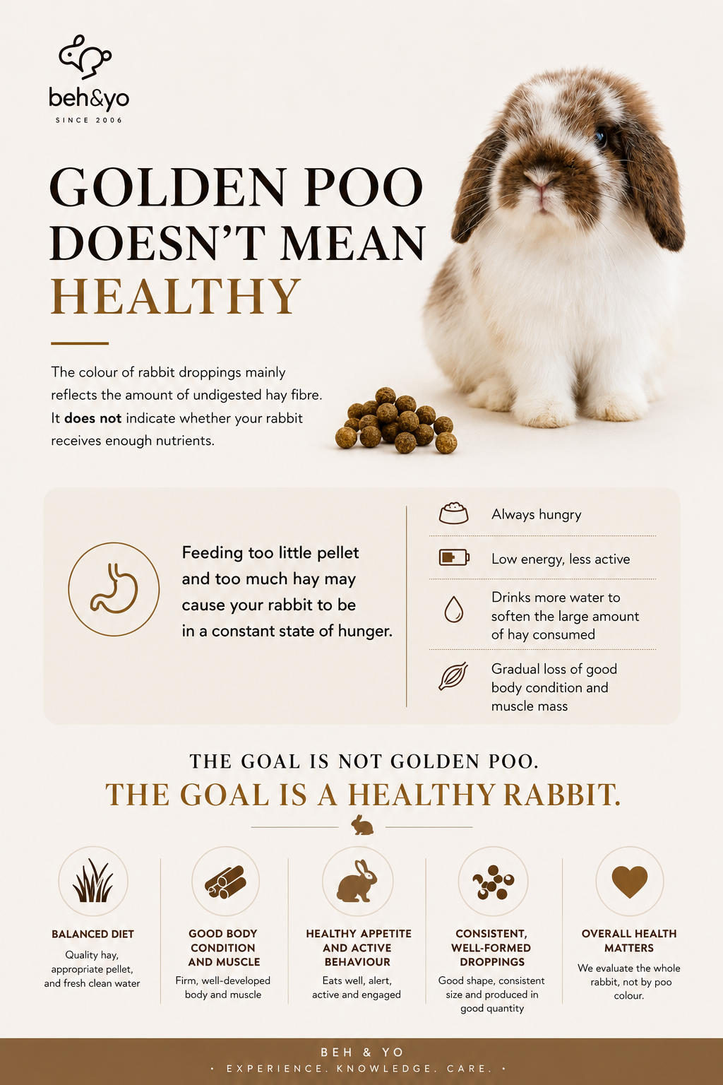Golden Rabbit Droppings Don’t Mean a Healthy Rabbit