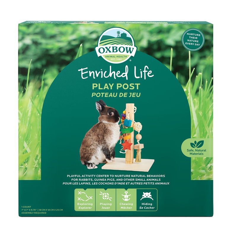 Enriched Life - Play Post
