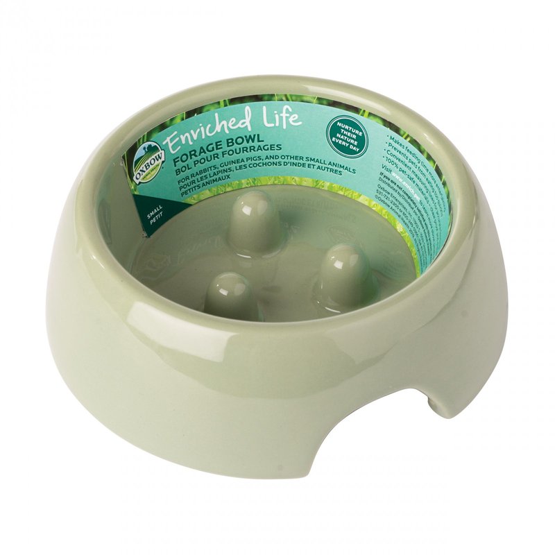 Enriched Life - Forage Bowl