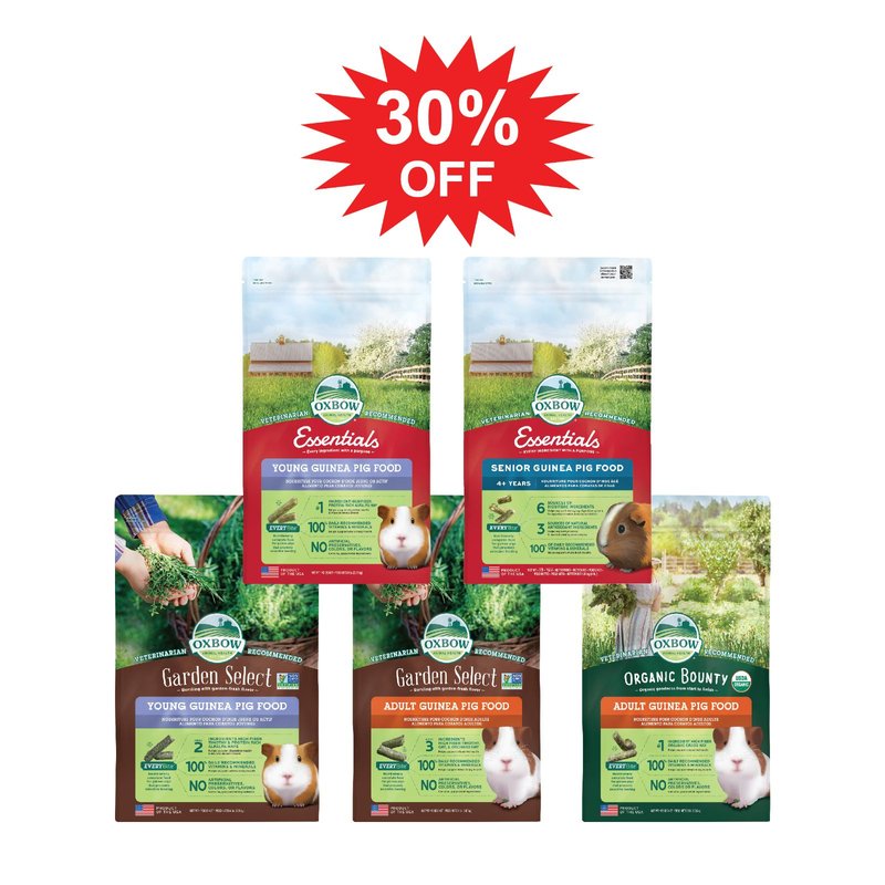 Special Promotion - Guinea Pig Food