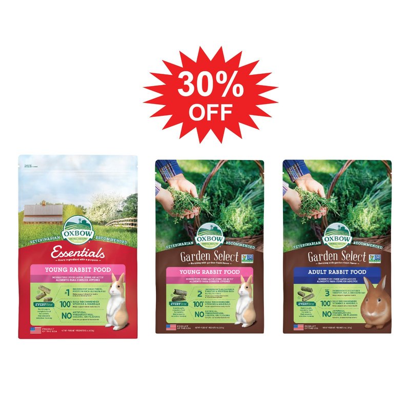 Special Promotion - Rabbit Food