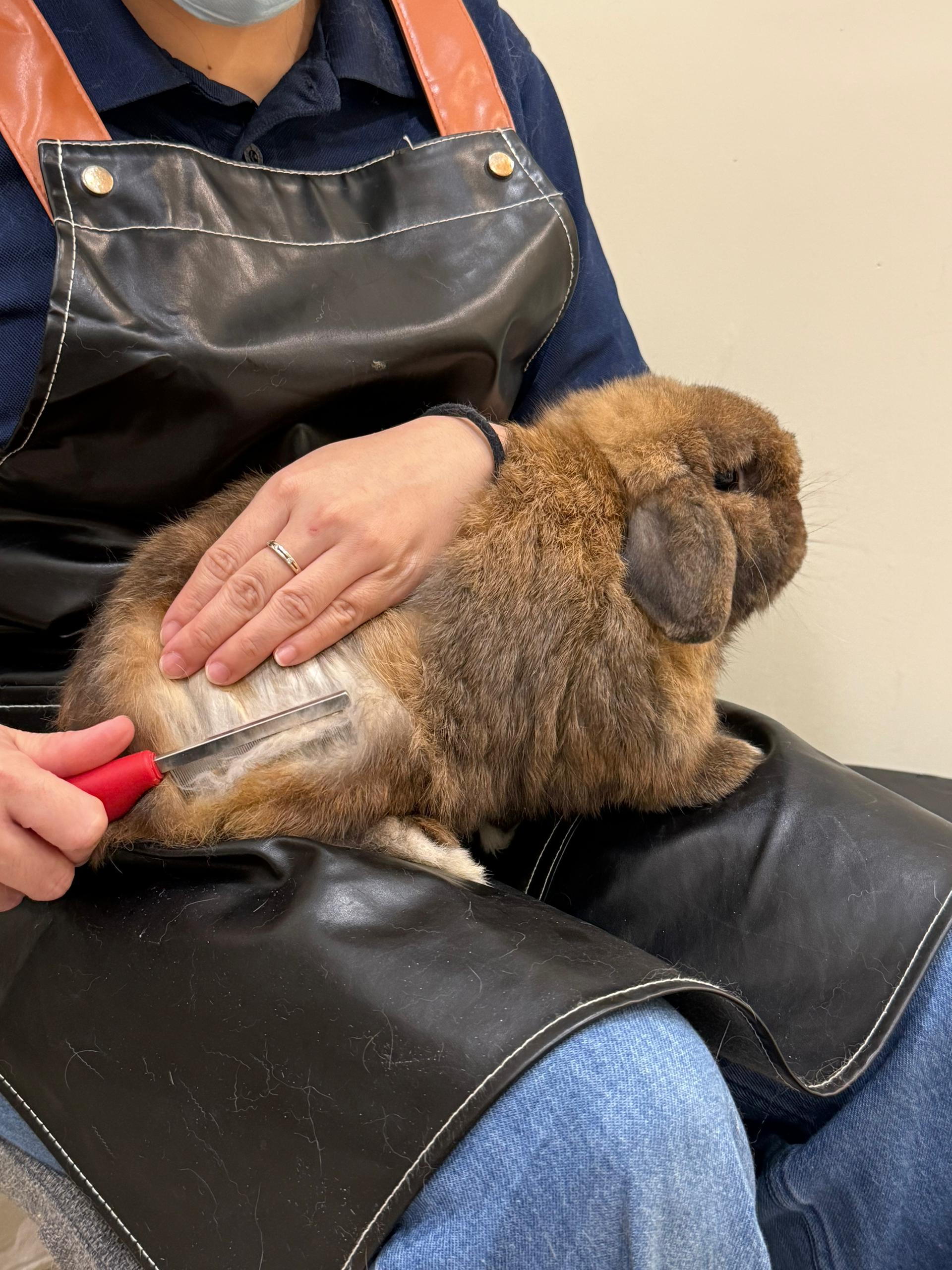 Our grooming process
